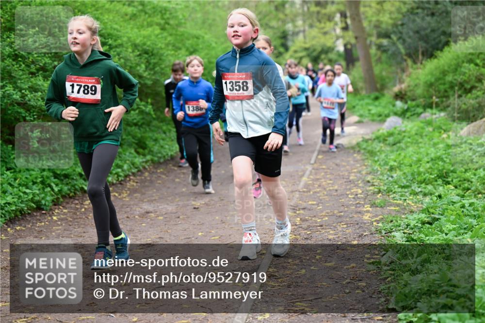 19.04.2026 - Hammer Lauf Dr. Thomas Lammeyer http://msf.ph/oto/9527919 19.04.2026 09:26:46 Laufen 1789, 1386, 1358 meine-sportfotos.de