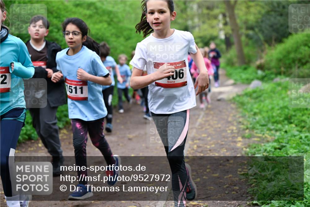 19.04.2026 - Hammer Lauf Dr. Thomas Lammeyer http://msf.ph/oto/9527972 19.04.2026 09:26:51 Laufen 1511 meine-sportfotos.de
