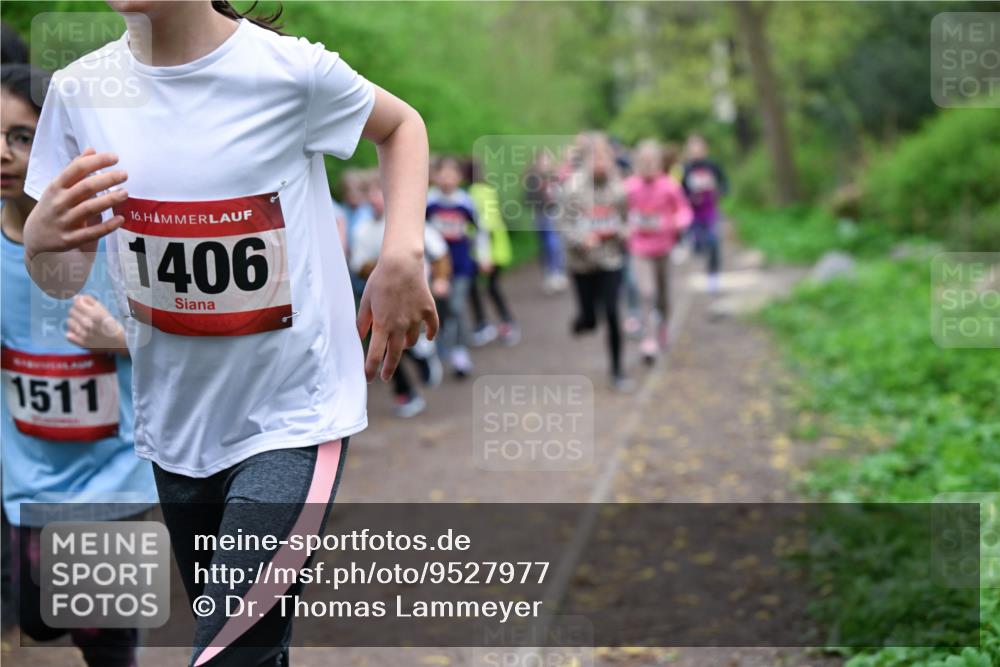 19.04.2026 - Hammer Lauf Dr. Thomas Lammeyer http://msf.ph/oto/9527977 19.04.2026 09:26:52 Laufen 1511, 1406 meine-sportfotos.de