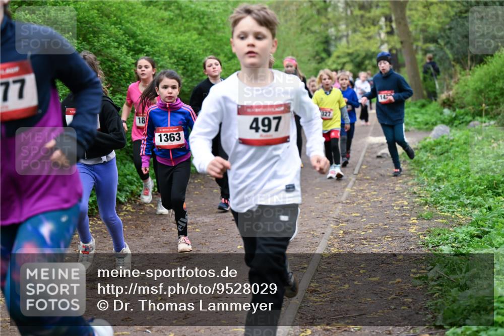 19.04.2026 - Hammer Lauf Dr. Thomas Lammeyer http://msf.ph/oto/9528029 19.04.2026 09:26:58 Laufen 1363, 497, 142 meine-sportfotos.de