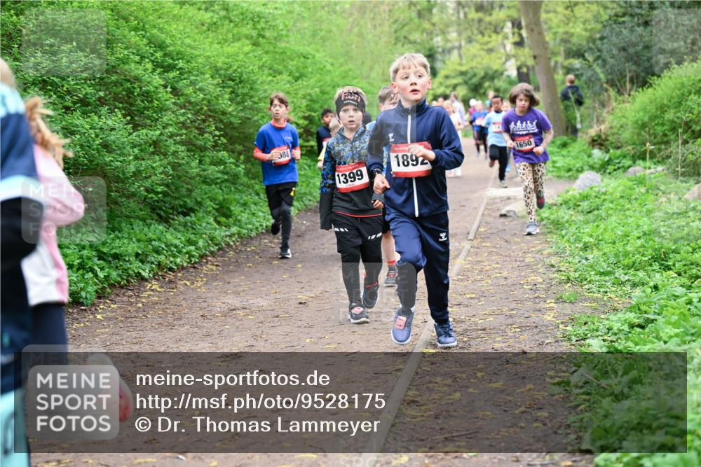 19.04.2026 - Hammer Lauf Dr. Thomas Lammeyer http://msf.ph/oto/9528175 19.04.2026 09:27:14 Laufen 1399, 1892, 1650 meine-sportfotos.de