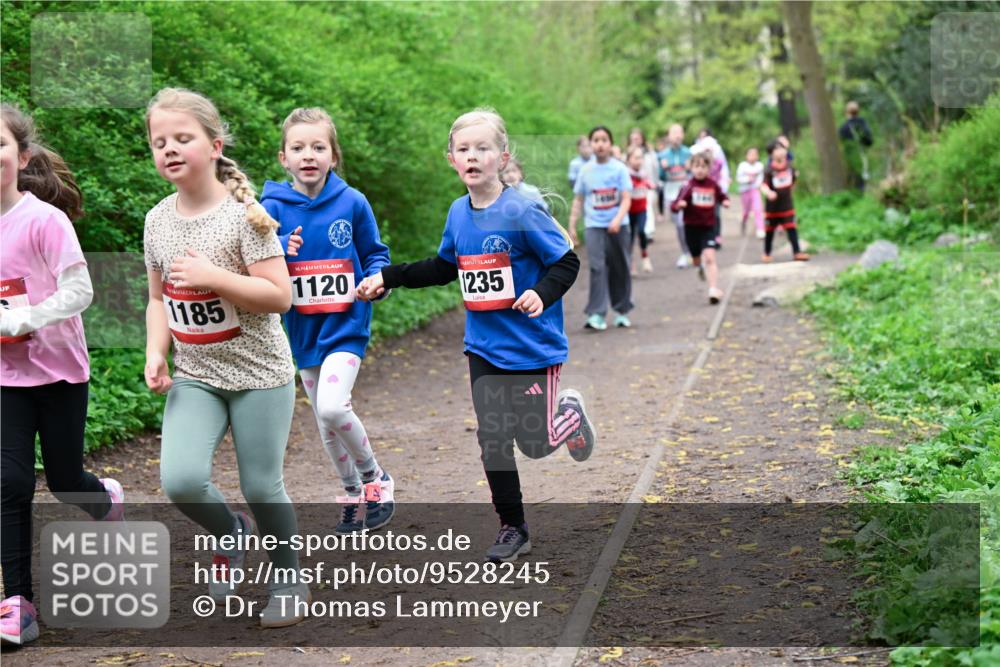 19.04.2026 - Hammer Lauf Dr. Thomas Lammeyer http://msf.ph/oto/9528245 19.04.2026 09:27:21 Laufen 1185, 1120, 1235 meine-sportfotos.de