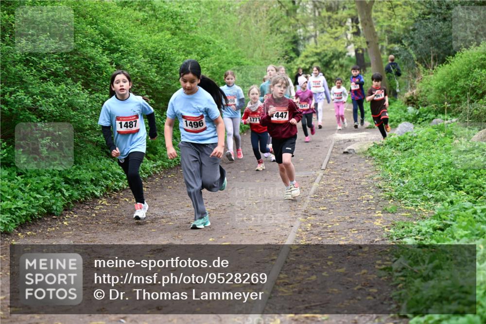19.04.2026 - Hammer Lauf Dr. Thomas Lammeyer http://msf.ph/oto/9528269 19.04.2026 09:27:24 Laufen 1487, 1496, 508, 1547, 447, 1771, 1248, 961 meine-sportfotos.de