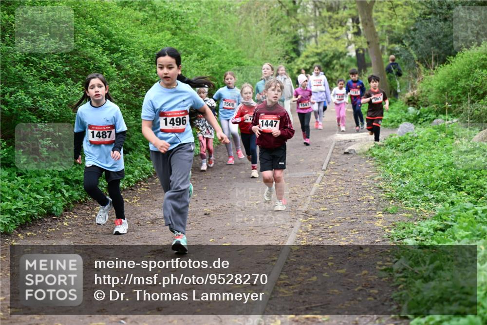 19.04.2026 - Hammer Lauf Dr. Thomas Lammeyer http://msf.ph/oto/9528270 19.04.2026 09:27:24 Laufen 1487, 1496, 1508, 1447, 1547, 961 meine-sportfotos.de