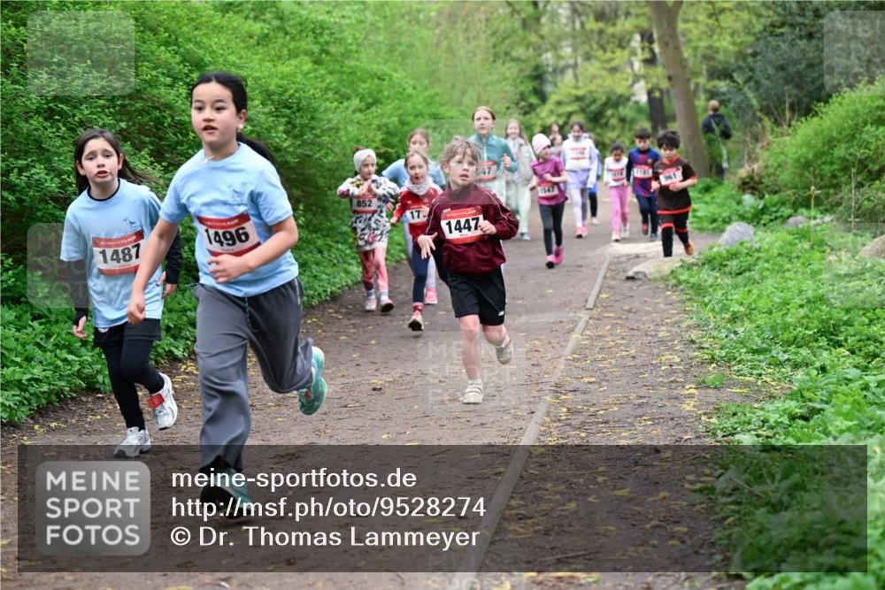 19.04.2026 - Hammer Lauf Dr. Thomas Lammeyer http://msf.ph/oto/9528274 19.04.2026 09:27:24 Laufen 1487, 1496, 852, 961, 1447 meine-sportfotos.de