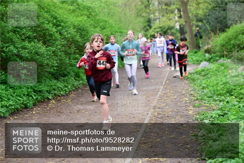 19.04.2026 - Hammer Lauf Dr. Thomas Lammeyer http://msf.ph/oto/9528282 19.04.2026 09:27:25 Laufen 447, 1508, 547 meine-sportfotos.de