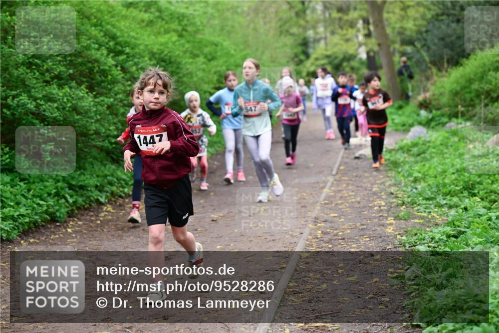 19.04.2026 - Hammer Lauf Dr. Thomas Lammeyer http://msf.ph/oto/9528286 19.04.2026 09:27:25 Laufen 1447 meine-sportfotos.de