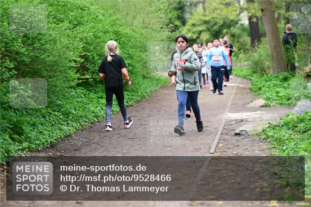 19.04.2026 - Hammer Lauf Dr. Thomas Lammeyer http://msf.ph/oto/9528466 19.04.2026 09:27:45 Laufen  meine-sportfotos.de