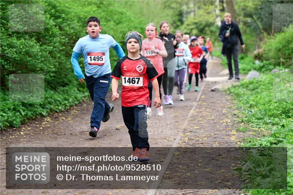 19.04.2026 - Hammer Lauf Dr. Thomas Lammeyer http://msf.ph/oto/9528510 19.04.2026 09:27:55 Laufen 1495, 1467, 118, 360 meine-sportfotos.de