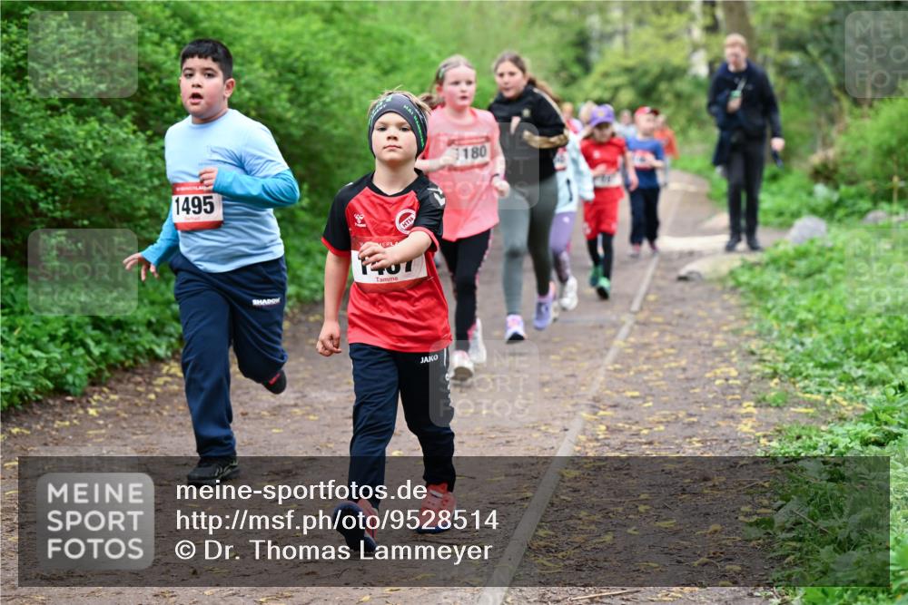 19.04.2026 - Hammer Lauf Dr. Thomas Lammeyer http://msf.ph/oto/9528514 19.04.2026 09:27:56 Laufen 1495, 1707, 180 meine-sportfotos.de