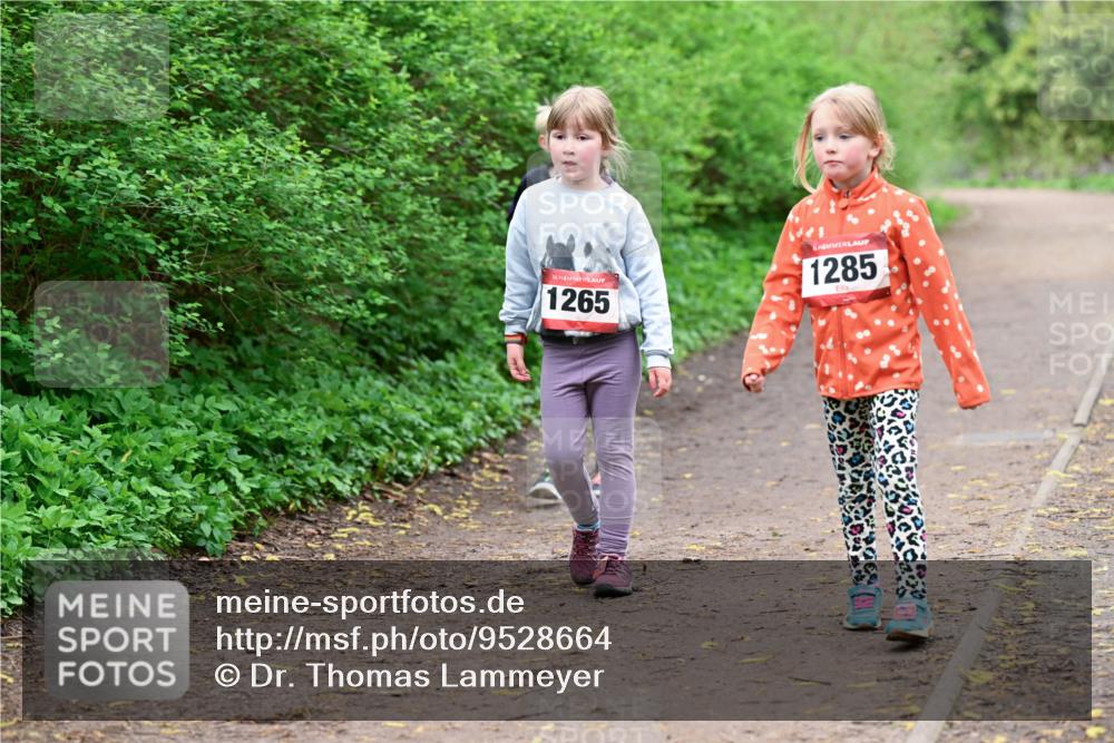 19.04.2026 - Hammer Lauf Dr. Thomas Lammeyer http://msf.ph/oto/9528664 19.04.2026 09:28:12 Laufen 1265, 1285 meine-sportfotos.de