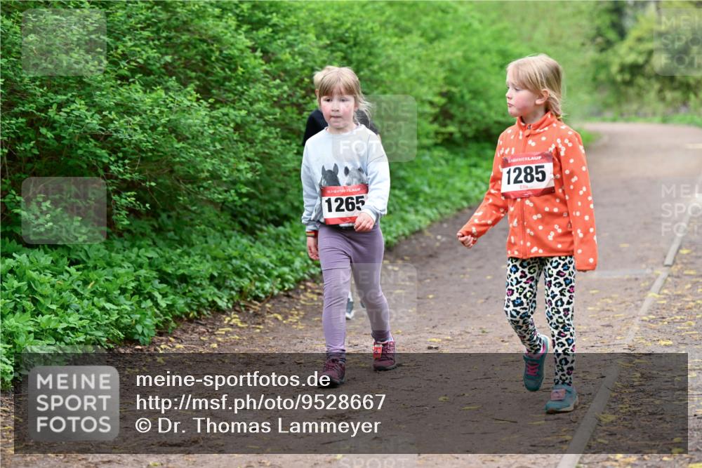 19.04.2026 - Hammer Lauf Dr. Thomas Lammeyer http://msf.ph/oto/9528667 19.04.2026 09:28:12 Laufen 1265, 1285 meine-sportfotos.de
