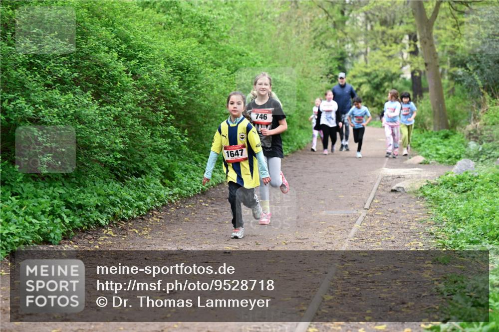 19.04.2026 - Hammer Lauf Dr. Thomas Lammeyer http://msf.ph/oto/9528718 19.04.2026 09:28:38 Laufen 746, 1647 meine-sportfotos.de