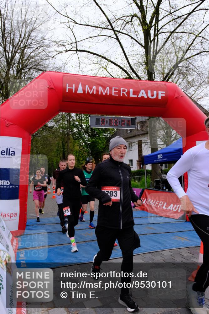 19.04.2026 - Hammer Lauf Tim E. http://msf.ph/oto/9530101 19.04.2026 10:15:32 Ziel 241, 321, 324, 325, 786, 1101, 1215, 1216, 1793, 1921 meine-sportfotos.de