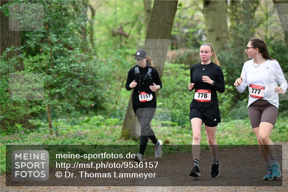 19.04.2026 - Hammer Lauf Dr. Thomas Lammeyer http://msf.ph/oto/9536157 19.04.2026 10:21:40 Laufen 1157, 778, 777 meine-sportfotos.de