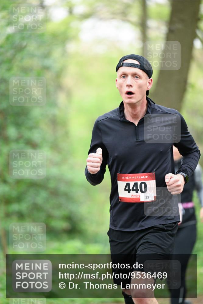 19.04.2026 - Hammer Lauf Dr. Thomas Lammeyer http://msf.ph/oto/9536469 19.04.2026 10:24:19 Laufen 440 meine-sportfotos.de