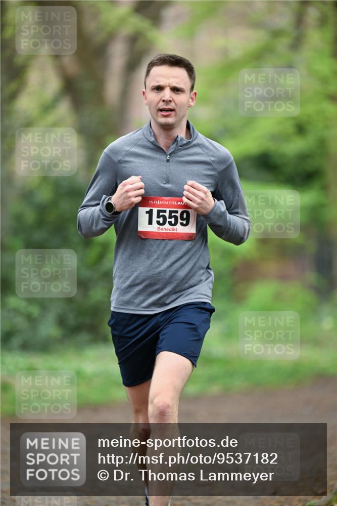 19.04.2026 - Hammer Lauf Dr. Thomas Lammeyer http://msf.ph/oto/9537182 19.04.2026 10:29:09 Laufen 1559 meine-sportfotos.de