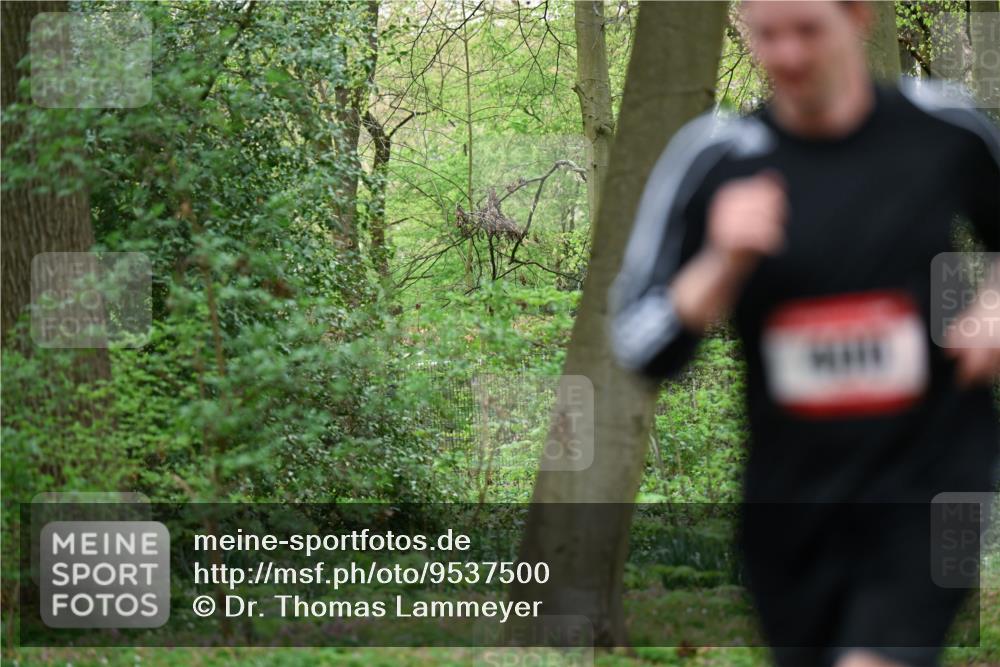 19.04.2026 - Hammer Lauf Dr. Thomas Lammeyer http://msf.ph/oto/9537500 19.04.2026 10:30:59 Laufen  meine-sportfotos.de