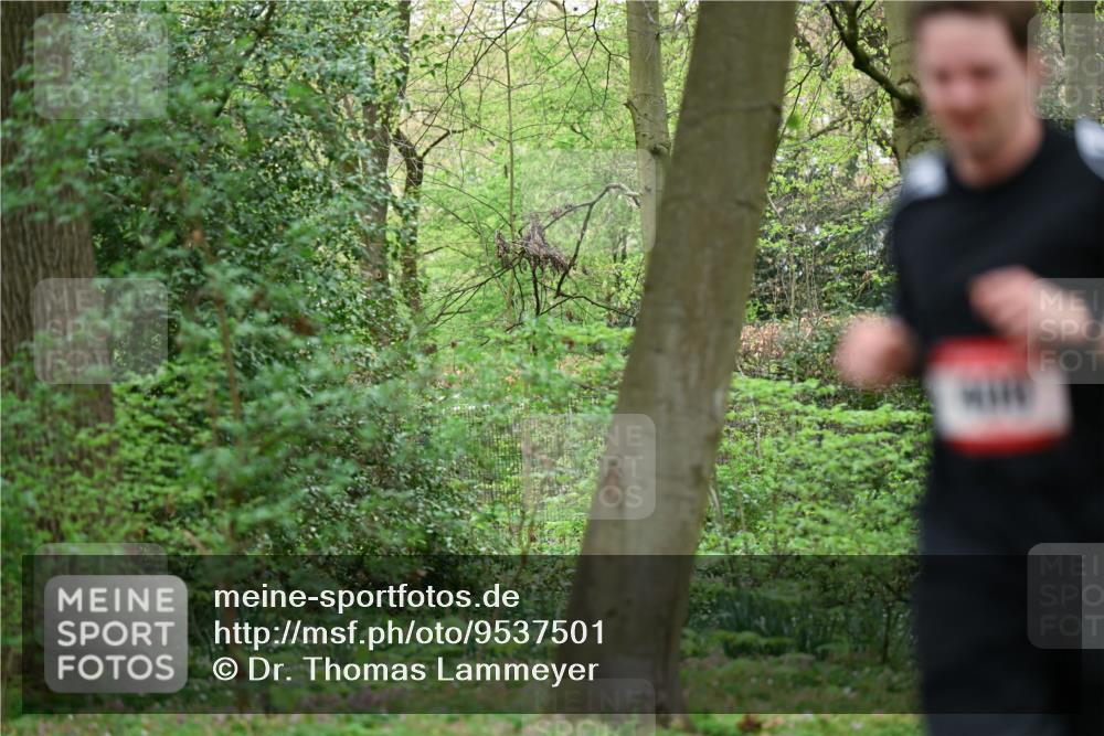 19.04.2026 - Hammer Lauf Dr. Thomas Lammeyer http://msf.ph/oto/9537501 19.04.2026 10:30:59 Laufen  meine-sportfotos.de