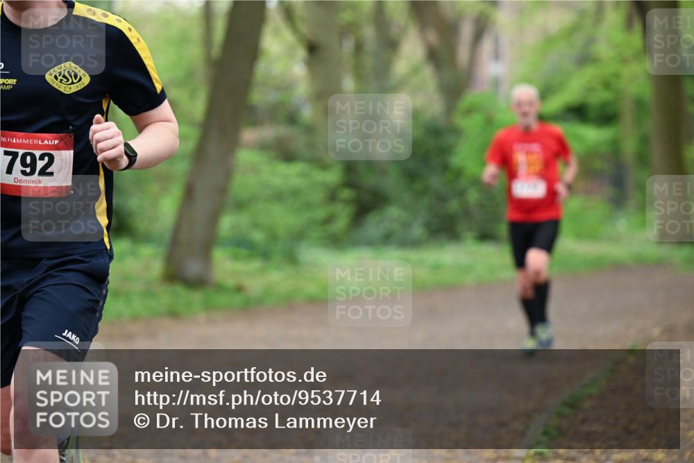 19.04.2026 - Hammer Lauf Dr. Thomas Lammeyer http://msf.ph/oto/9537714 19.04.2026 10:32:16 Laufen 1890, 1920, 792 meine-sportfotos.de