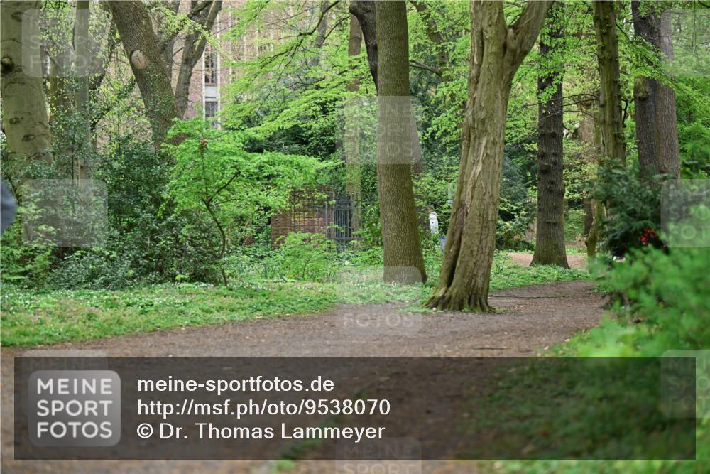 19.04.2026 - Hammer Lauf Dr. Thomas Lammeyer http://msf.ph/oto/9538070 19.04.2026 10:33:26 Laufen  meine-sportfotos.de