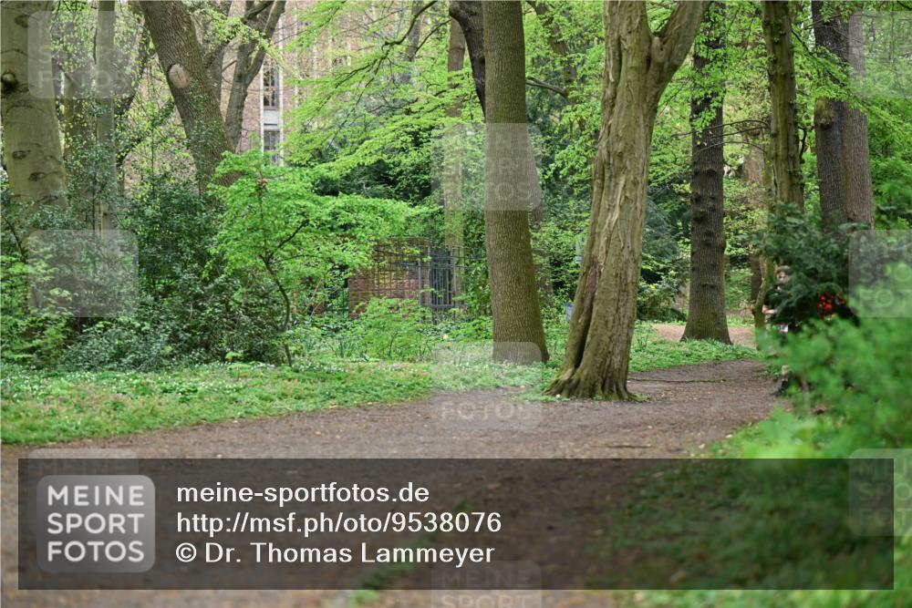 19.04.2026 - Hammer Lauf Dr. Thomas Lammeyer http://msf.ph/oto/9538076 19.04.2026 10:33:26 Laufen  meine-sportfotos.de