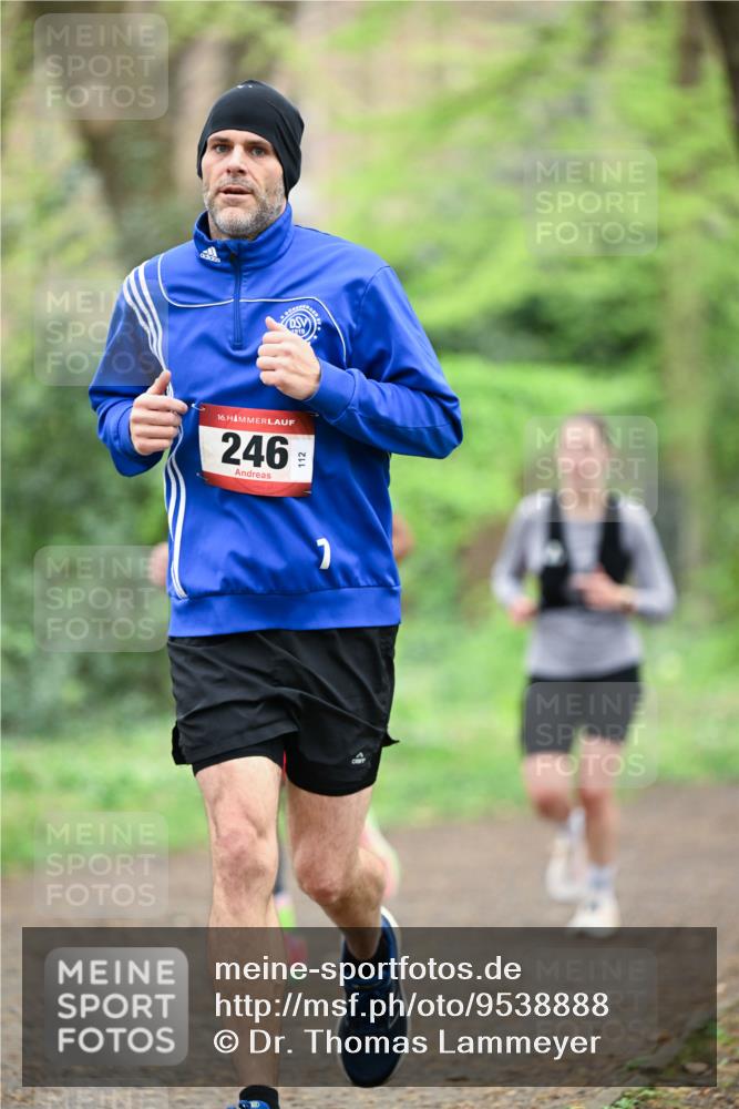 19.04.2026 - Hammer Lauf Dr. Thomas Lammeyer http://msf.ph/oto/9538888 19.04.2026 10:37:44 Laufen 246 meine-sportfotos.de