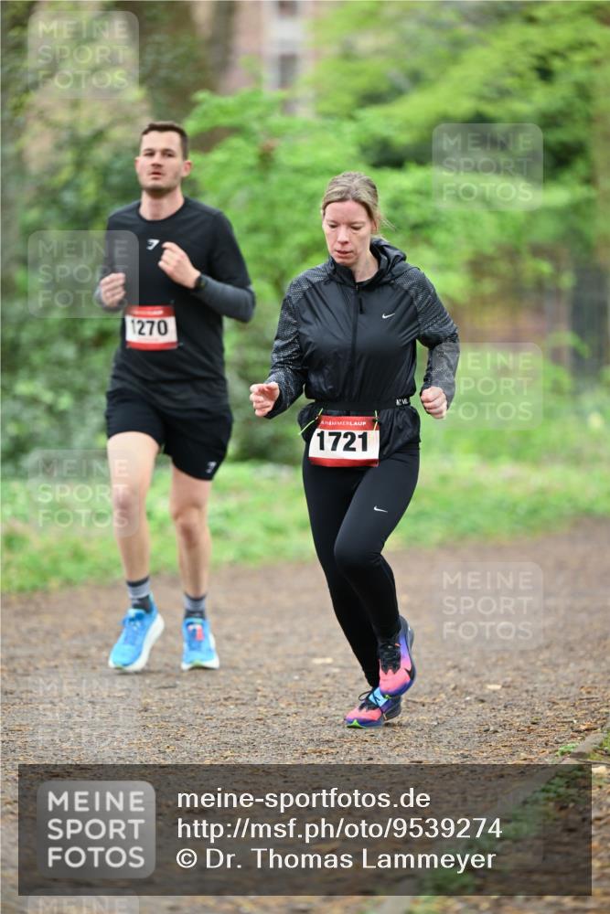 19.04.2026 - Hammer Lauf Dr. Thomas Lammeyer http://msf.ph/oto/9539274 19.04.2026 10:39:32 Laufen 1270, 1721 meine-sportfotos.de