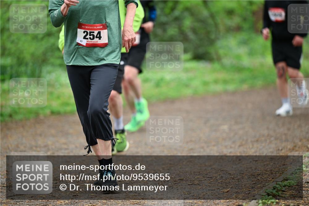 19.04.2026 - Hammer Lauf Dr. Thomas Lammeyer http://msf.ph/oto/9539655 19.04.2026 10:40:45 Laufen 254 meine-sportfotos.de