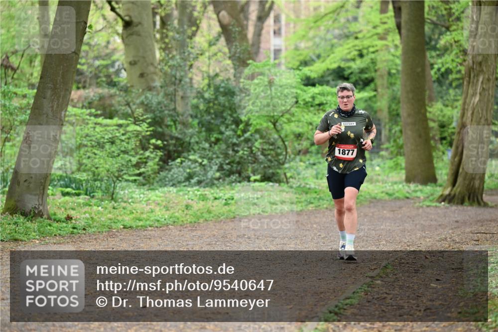 19.04.2026 - Hammer Lauf Dr. Thomas Lammeyer http://msf.ph/oto/9540647 19.04.2026 10:43:54 Laufen  meine-sportfotos.de