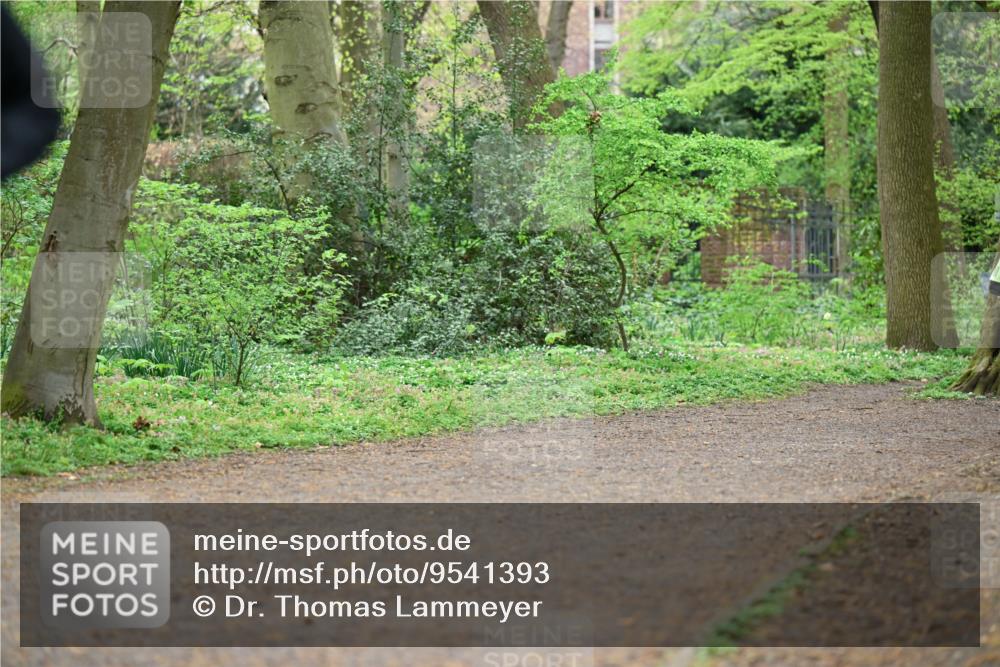 19.04.2026 - Hammer Lauf Dr. Thomas Lammeyer http://msf.ph/oto/9541393 19.04.2026 10:46:21 Laufen  meine-sportfotos.de