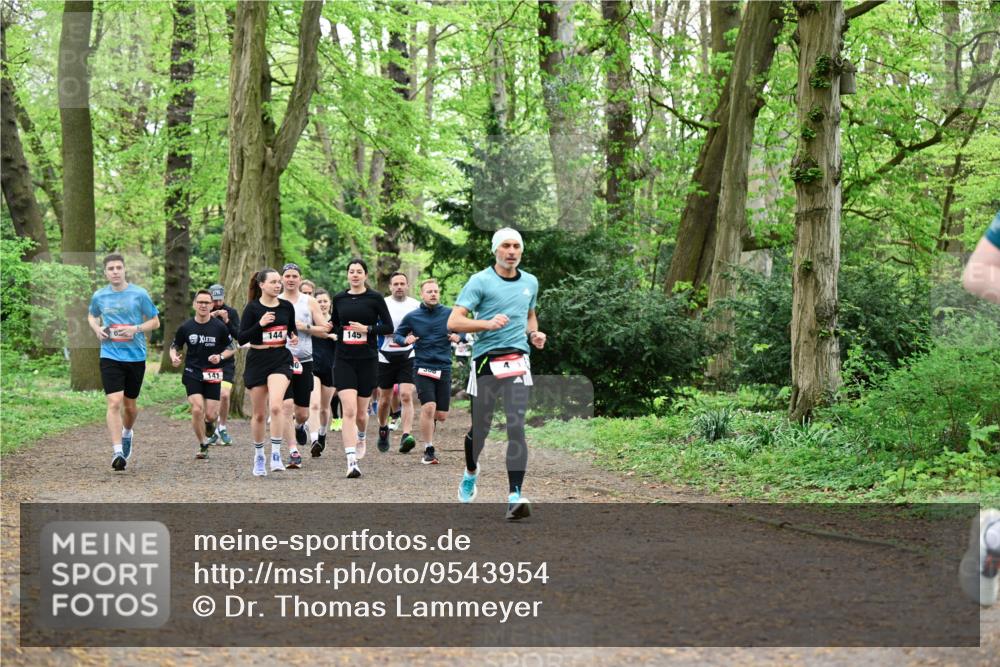19.04.2026 - Hammer Lauf Dr. Thomas Lammeyer http://msf.ph/oto/9543954 19.04.2026 11:03:55 Laufen 144, 141, 145, 300 meine-sportfotos.de
