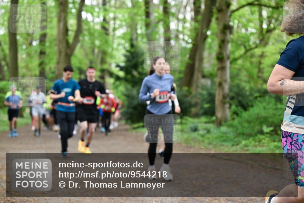 19.04.2026 - Hammer Lauf Dr. Thomas Lammeyer http://msf.ph/oto/9544218 19.04.2026 11:04:23 Laufen  meine-sportfotos.de