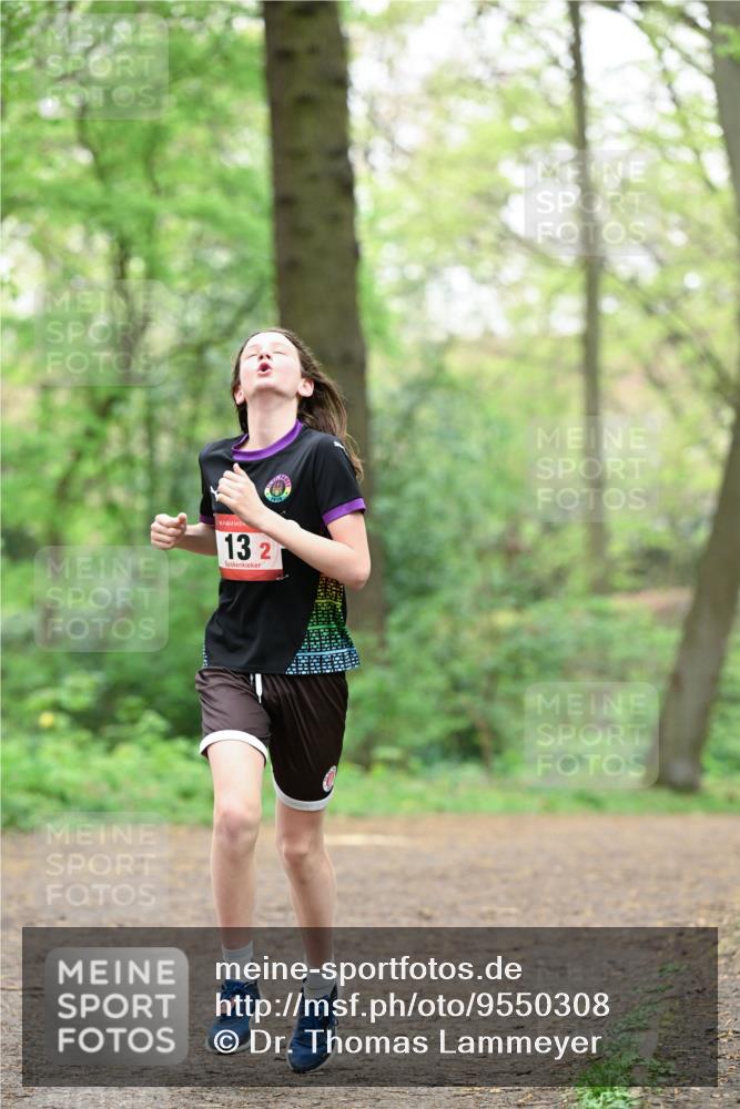 19.04.2026 - Hammer Lauf Dr. Thomas Lammeyer http://msf.ph/oto/9550308 19.04.2026 11:48:39 Laufen  meine-sportfotos.de