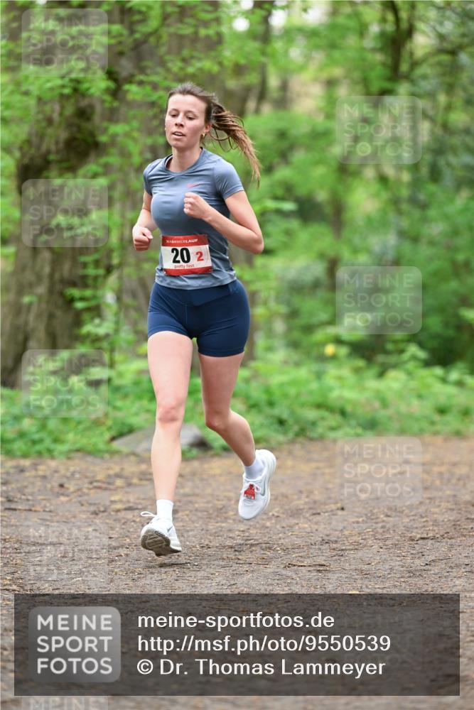 19.04.2026 - Hammer Lauf Dr. Thomas Lammeyer http://msf.ph/oto/9550539 19.04.2026 11:50:48 Laufen 202 meine-sportfotos.de