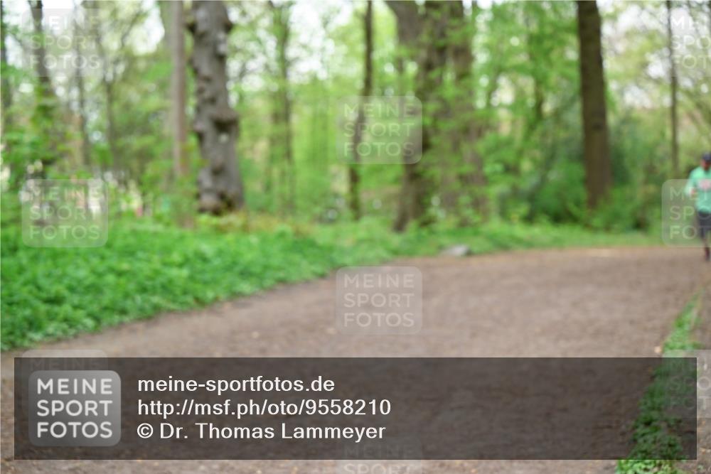 19.04.2026 - Hammer Lauf Dr. Thomas Lammeyer http://msf.ph/oto/9558210 19.04.2026 12:43:58 Laufen  meine-sportfotos.de