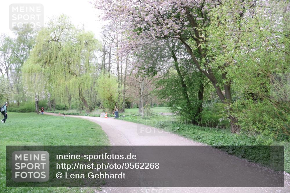 19.04.2026 - Hammer Lauf Lena Gebhardt http://msf.ph/oto/9562268 19.04.2026 09:16:15 Laufen  meine-sportfotos.de