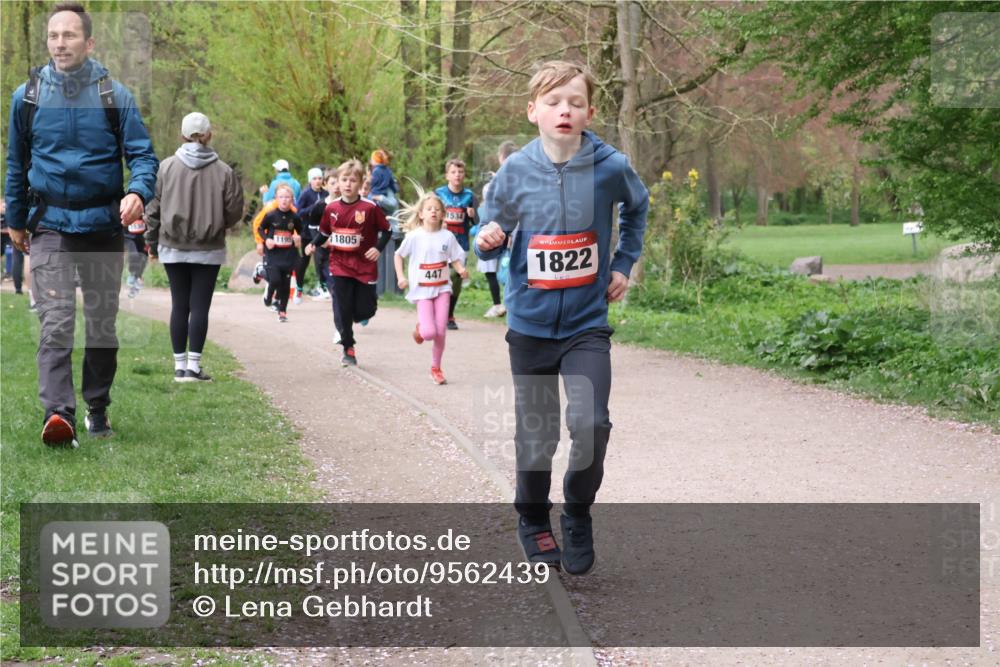 19.04.2026 - Hammer Lauf Lena Gebhardt http://msf.ph/oto/9562439 19.04.2026 09:25:35 Laufen 1195, 1805, 447, 1822 meine-sportfotos.de