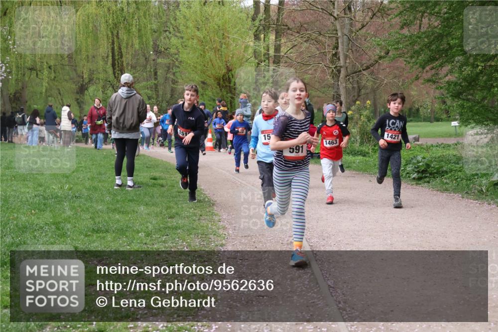 19.04.2026 - Hammer Lauf Lena Gebhardt http://msf.ph/oto/9562636 19.04.2026 09:26:42 Laufen 151, 15, 1463, 591, 1421 meine-sportfotos.de