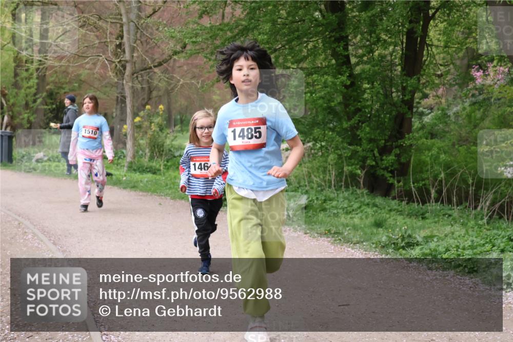 19.04.2026 - Hammer Lauf Lena Gebhardt http://msf.ph/oto/9562988 19.04.2026 09:29:10 Laufen 1510, 146, 16, 1485 meine-sportfotos.de