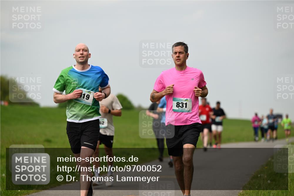 10.05.2026 - 8. Wedeler Halbmarathon Dr. Thomas Lammeyer http://msf.ph/oto/9700052 10.05.2026 11:38:56 Laufen 919, 831 meine-sportfotos.de