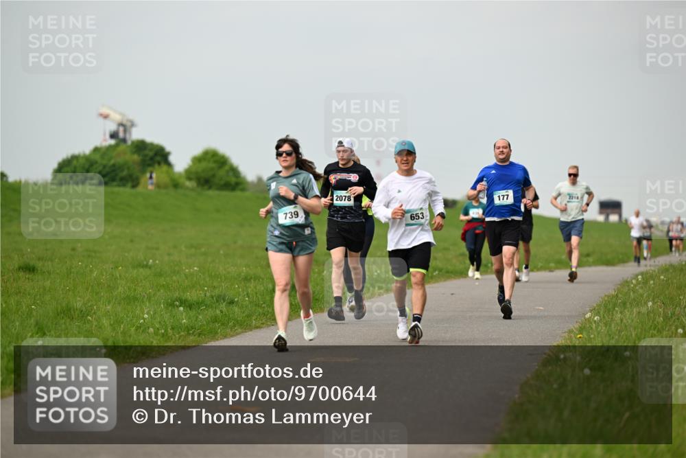 10.05.2026 - 8. Wedeler Halbmarathon Dr. Thomas Lammeyer http://msf.ph/oto/9700644 10.05.2026 11:40:12 Laufen 739, 2078, 653, 177 meine-sportfotos.de