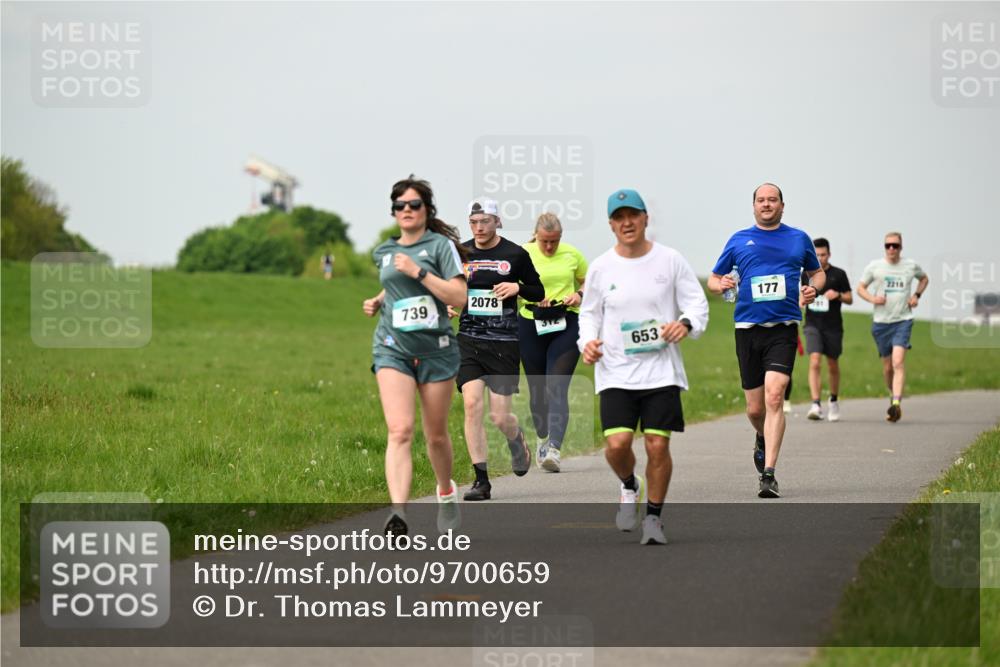 10.05.2026 - 8. Wedeler Halbmarathon Dr. Thomas Lammeyer http://msf.ph/oto/9700659 10.05.2026 11:40:13 Laufen 739, 2078, 177, 653 meine-sportfotos.de