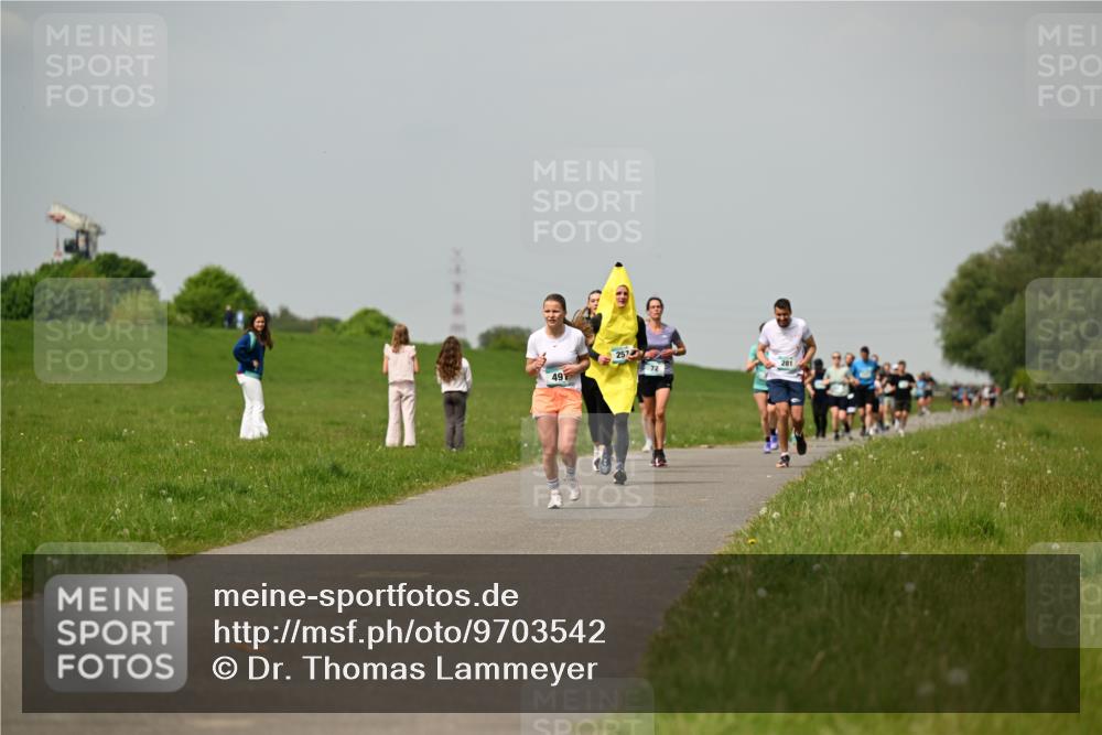 10.05.2026 - 8. Wedeler Halbmarathon Dr. Thomas Lammeyer http://msf.ph/oto/9703542 10.05.2026 11:50:25 Laufen 491, 257, 281 meine-sportfotos.de