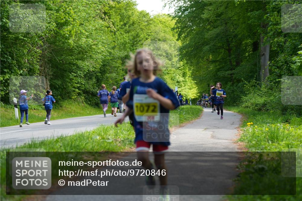 09.05.2026 - Störlauf LAZAROV Photography http://msf.ph/oto/9720846 09.05.2026 14:06:03 Laufen 1072, 949 meine-sportfotos.de