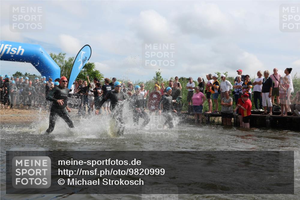 21.06.2026 - Viking Triathlon Michael Strokosch http://msf.ph/oto/9820999 21.06.2026 10:03:24 Schwimmen 58, 84, 118, 143, 202, 303, 328, 364, 419, 455, 457, 487, 556, 656, 667 meine-sportfotos.de