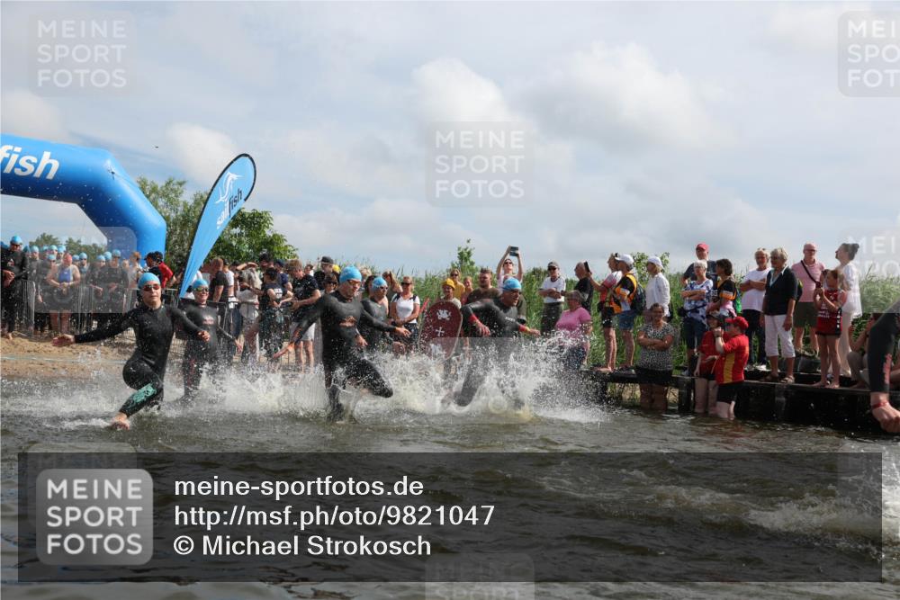 21.06.2026 - Viking Triathlon Michael Strokosch http://msf.ph/oto/9821047 21.06.2026 10:03:44 Schwimmen 137, 144, 229, 267, 287, 291, 323, 339, 340, 436, 450, 458, 521, 559, 649 meine-sportfotos.de
