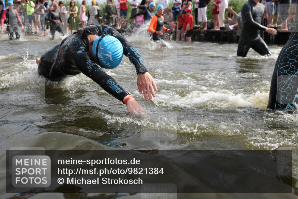 21.06.2026 - Viking Triathlon Michael Strokosch http://msf.ph/oto/9821384 21.06.2026 10:06:20 Schwimmen 41, 85, 184, 190, 248, 274, 312, 378, 489, 522, 533, 539, 550, 577, 603 meine-sportfotos.de