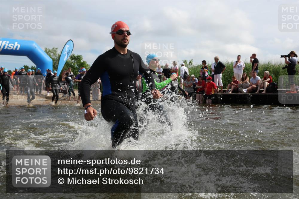 21.06.2026 - Viking Triathlon Michael Strokosch http://msf.ph/oto/9821734 21.06.2026 10:09:18 Schwimmen 127, 141, 155, 347, 385, 431, 502, 504, 529, 532, 538, 561, 639, 646, 670 meine-sportfotos.de