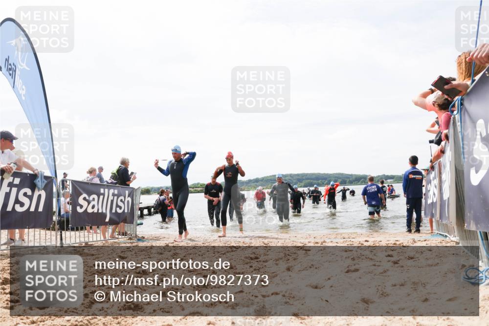 21.06.2026 - Viking Triathlon Michael Strokosch http://msf.ph/oto/9827373 21.06.2026 10:45:03 Schwimmen 33, 36, 276, 308, 329, 350, 369, 415, 577, 658, 668 meine-sportfotos.de